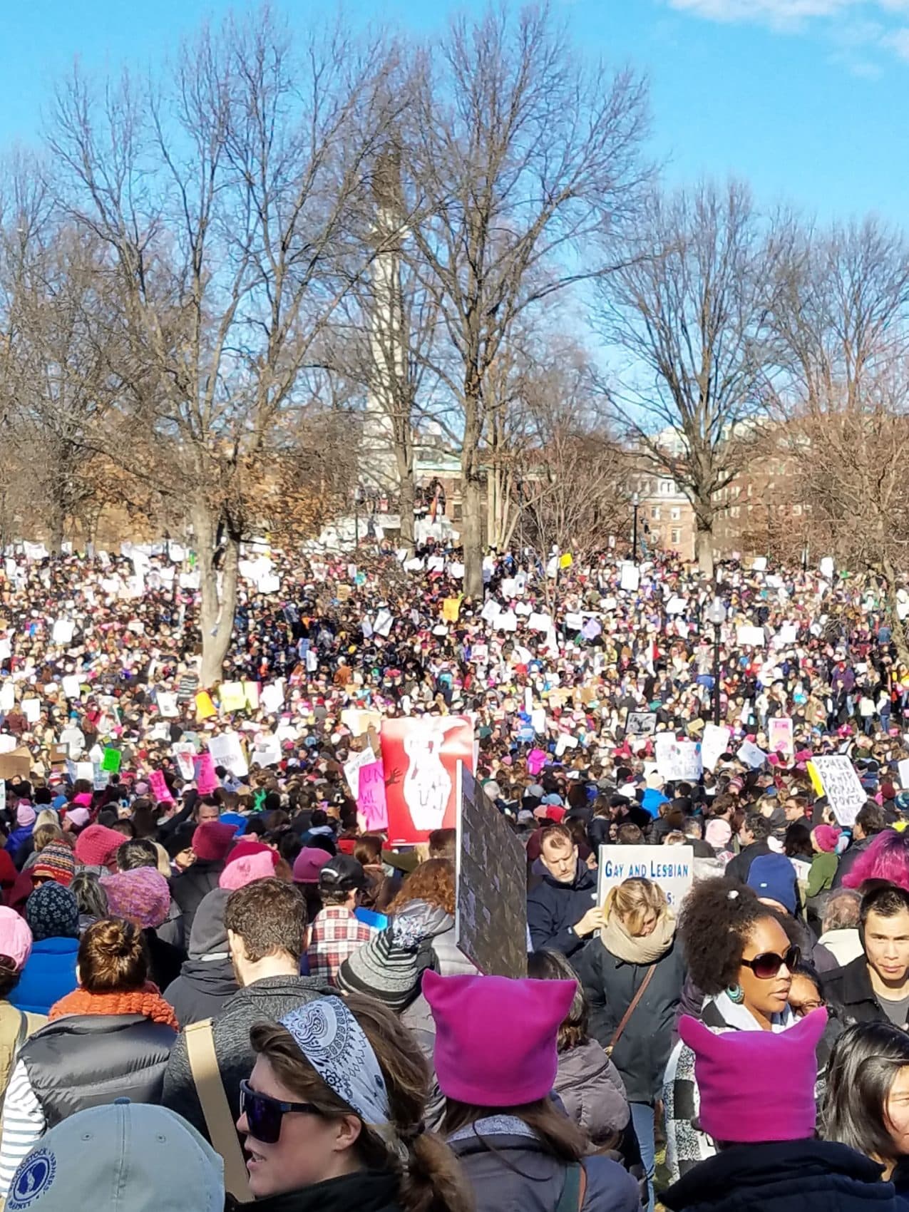 A view of Boston's Women's March, as seen from the city's Boston Common. (Courtesy Jessica Harder)