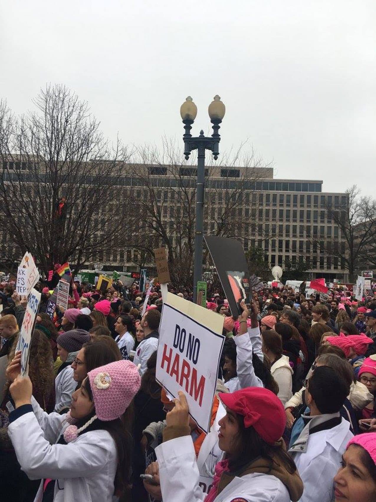 A view of the Women's March on Washington. (Via Lauren Elson) 