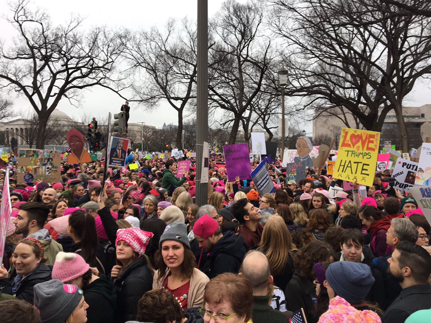 A view of the Women's March on Washington. (Courtesy Melissa Heerboth)