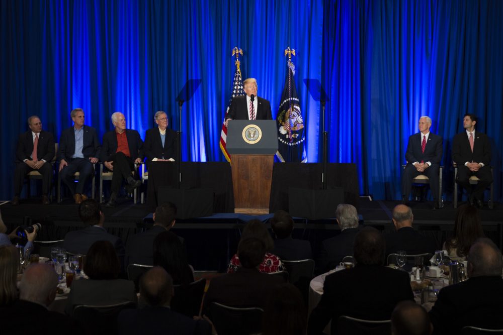 President Donald Trump speaks at the Republican congressional retreat in Philadelphia. (Matt Rourke/AP)