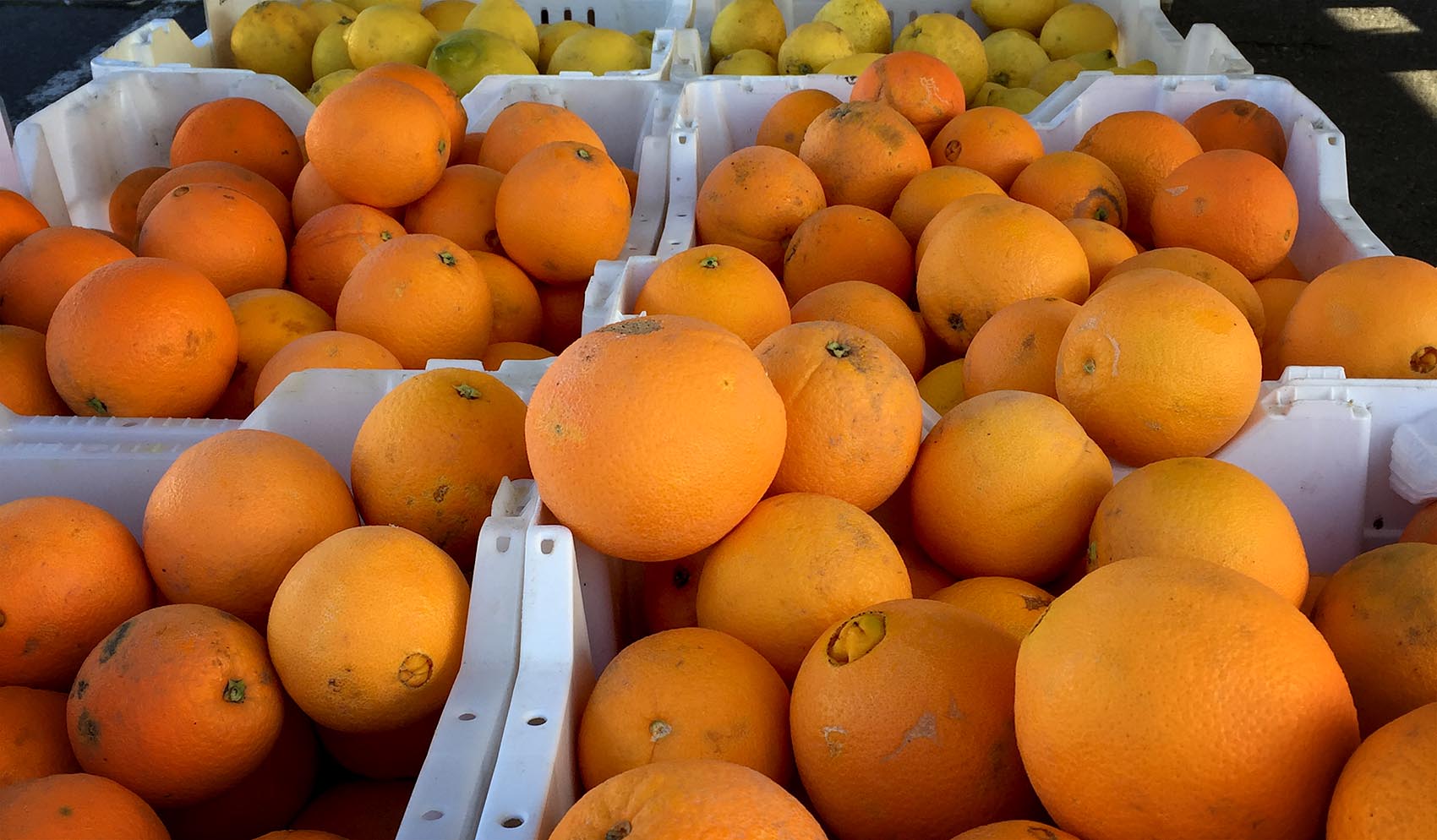 Our resident chef says citrus fruits are a great way to perk up a winter menu. (Kathy Gunst for Here & Now)