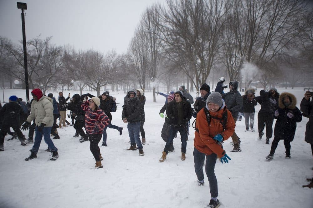 The fresh snow draws many colleges students to Boston Common for a public snowball fight. (Jesse Costa/WBUR)
