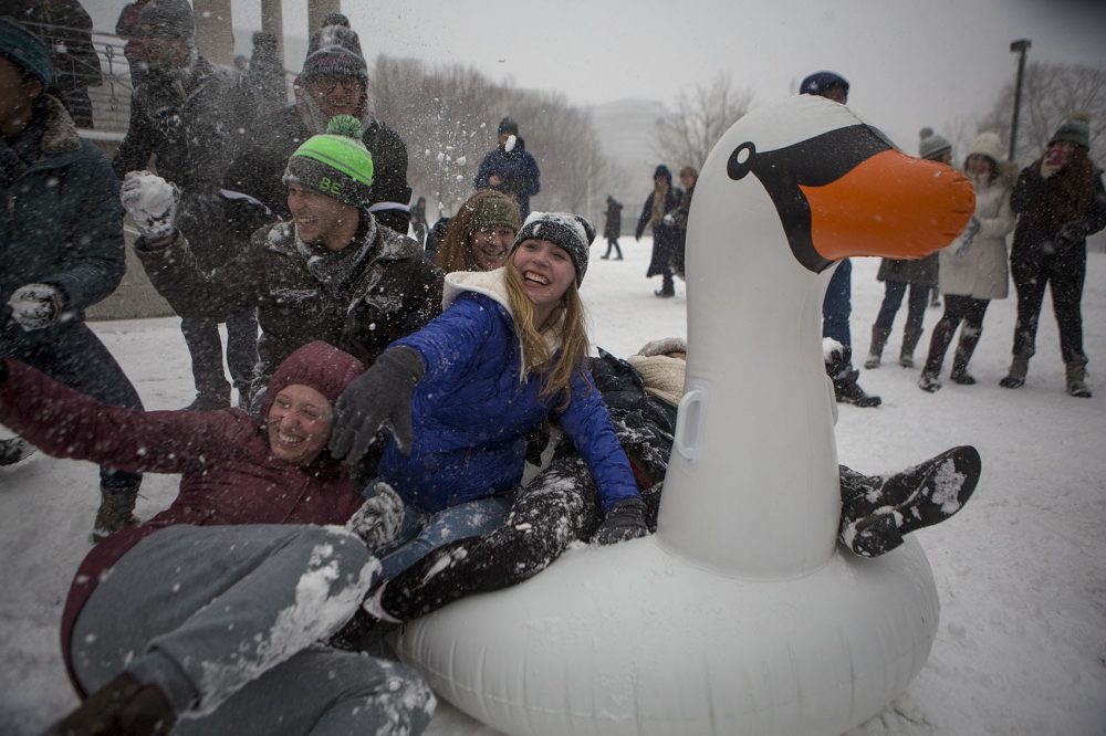 Students sit on a giant inflatable swan as they have a snowball fight in the Boston Common. (Jesse Costa/WBUR)