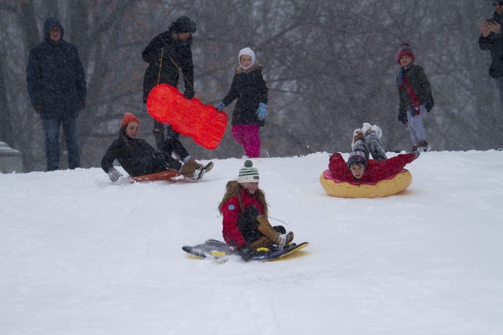 Kids sled down the hill at Boston Common during the snowstorm. (Jesse Costa/WBUR)