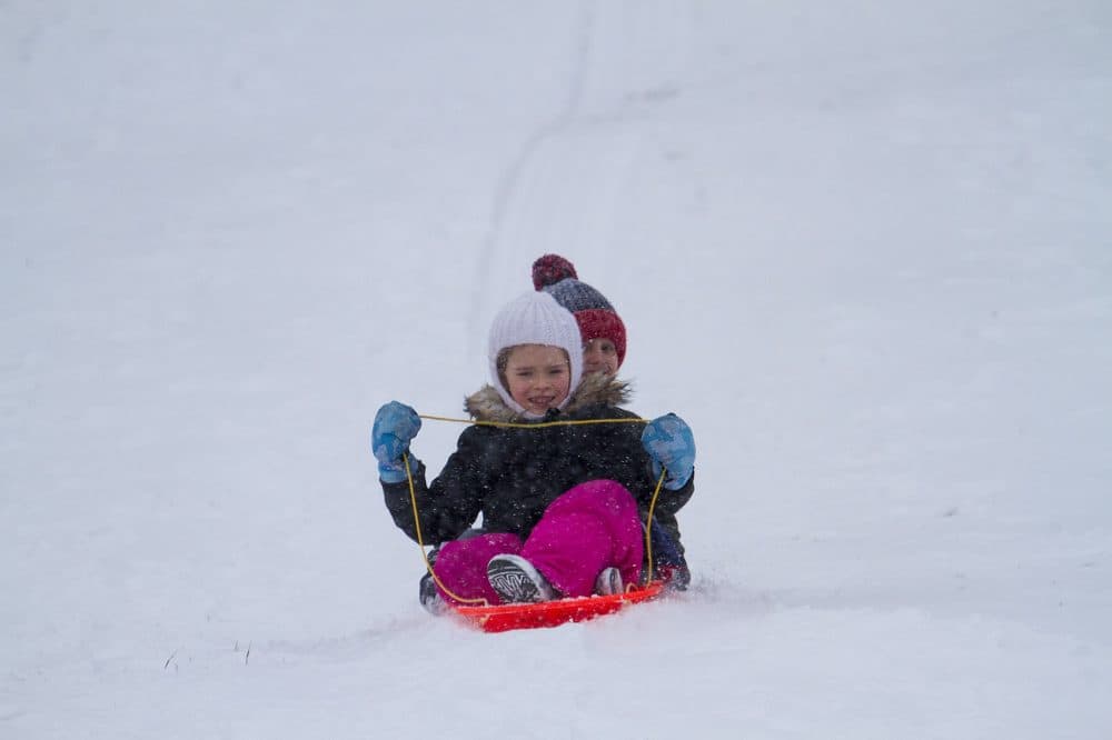 Lauren Gibbens, 7, and Will Thorpe, 5, ride a sled down the hill at Boston Common. (Jesse Costa/WBUR)