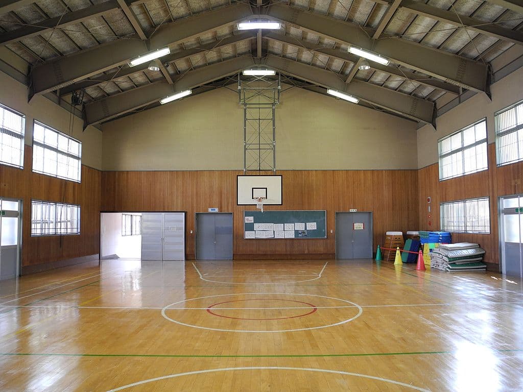 "We played a lot of bombardment. You may know the game by another name. Dodgeball, maybe. I think some kids called it murder ball. Maybe they still do. Probably they don’t." (Douglas P. Perkins)