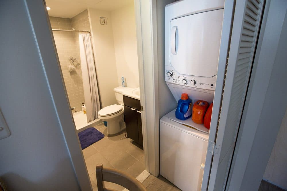 Bathroom and the washer/dryer unit in a small closet (Jesse Costa/WBUR)