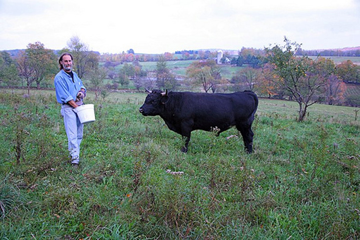 Farmer Ken Jaffe on the grounds of his Slope Farms in Meredith, NY. Before his life as a butcher in the Western Catskills, Jaffe spent 25 years as a family doctor in Park Slope, Brooklyn. (Ully Kjarval / Chefs for the Marcellus)