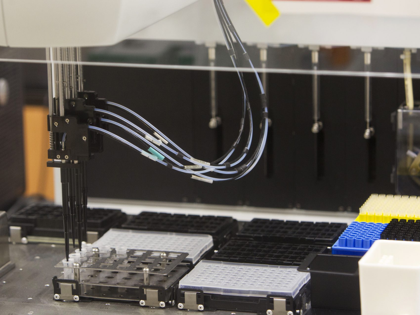 In this 2012 file photo, DNA samples are processed at the New York State Police Forensic Investigation Center in Albany, N.Y. (Mike Groll/AP)