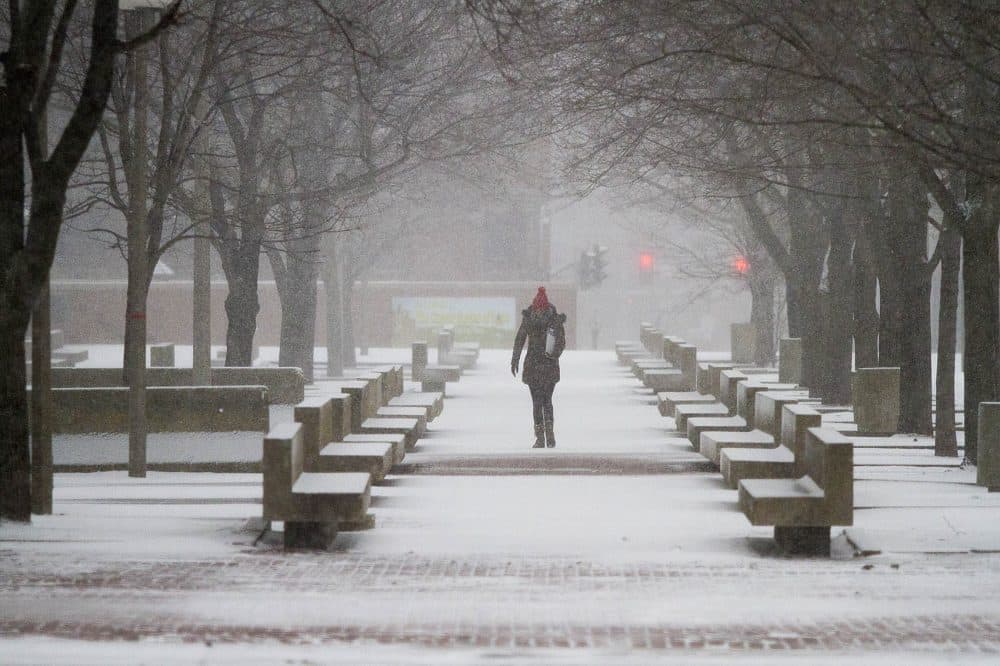 A woman walks through the storm at Boston City Hall Plaza. (Jesse Costa/WBUR)