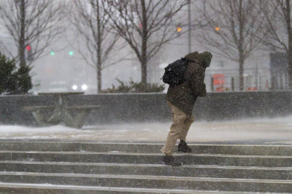 A man battled the wind and snow as he attempted the climb a set of stairs at City Hall Plaza. (Jesse Costa/WBUR)