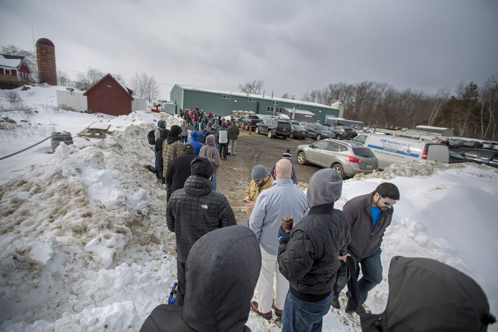 Early on a weekday afternoon, a long line forms through the parking lot two hours before Tree House Brewing opens its doors to sell cans and fill growlers. (Jesse Costa/WBUR)