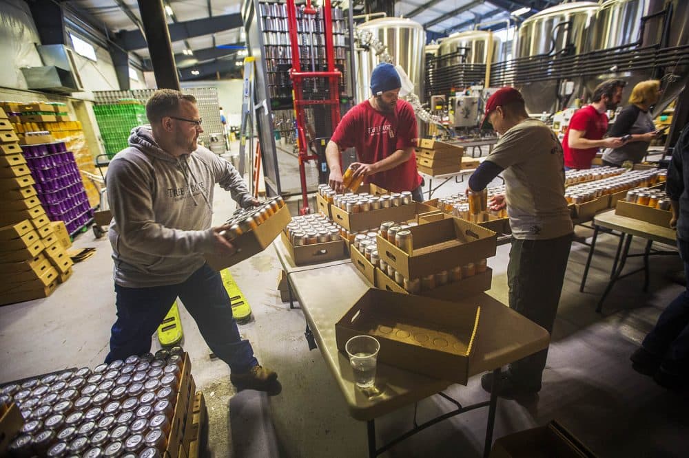 Workers move cans of Tree House's Haze to put into packs of 10 for sale. (Jesse Costa/WBUR)