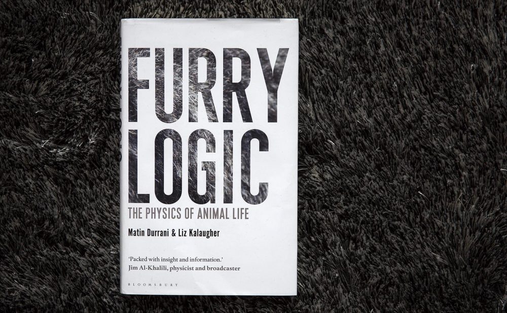 &quot;Furry Logic,&quot; by Martin Durrani and Liz Kalaugher. (Robin Lubbock/WBUR)