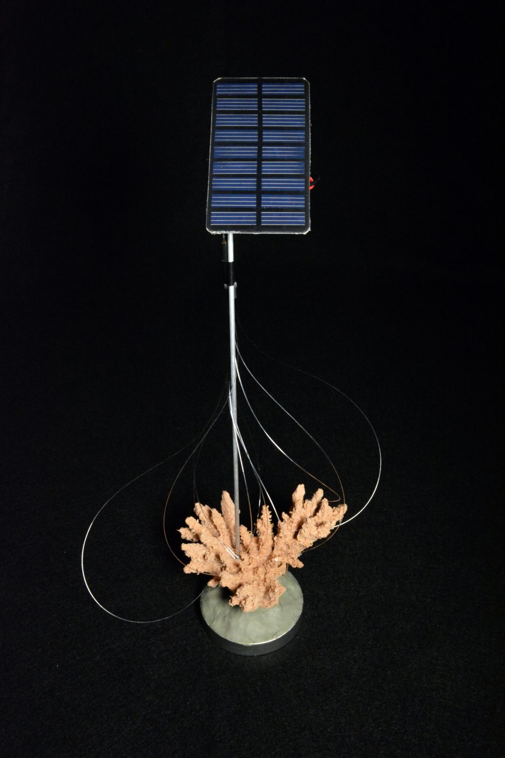 Jonathon Keats' piece &quot;Fiber Optics for Corals (Conceptual Model).&quot; (Courtesy Jonathon Keats)