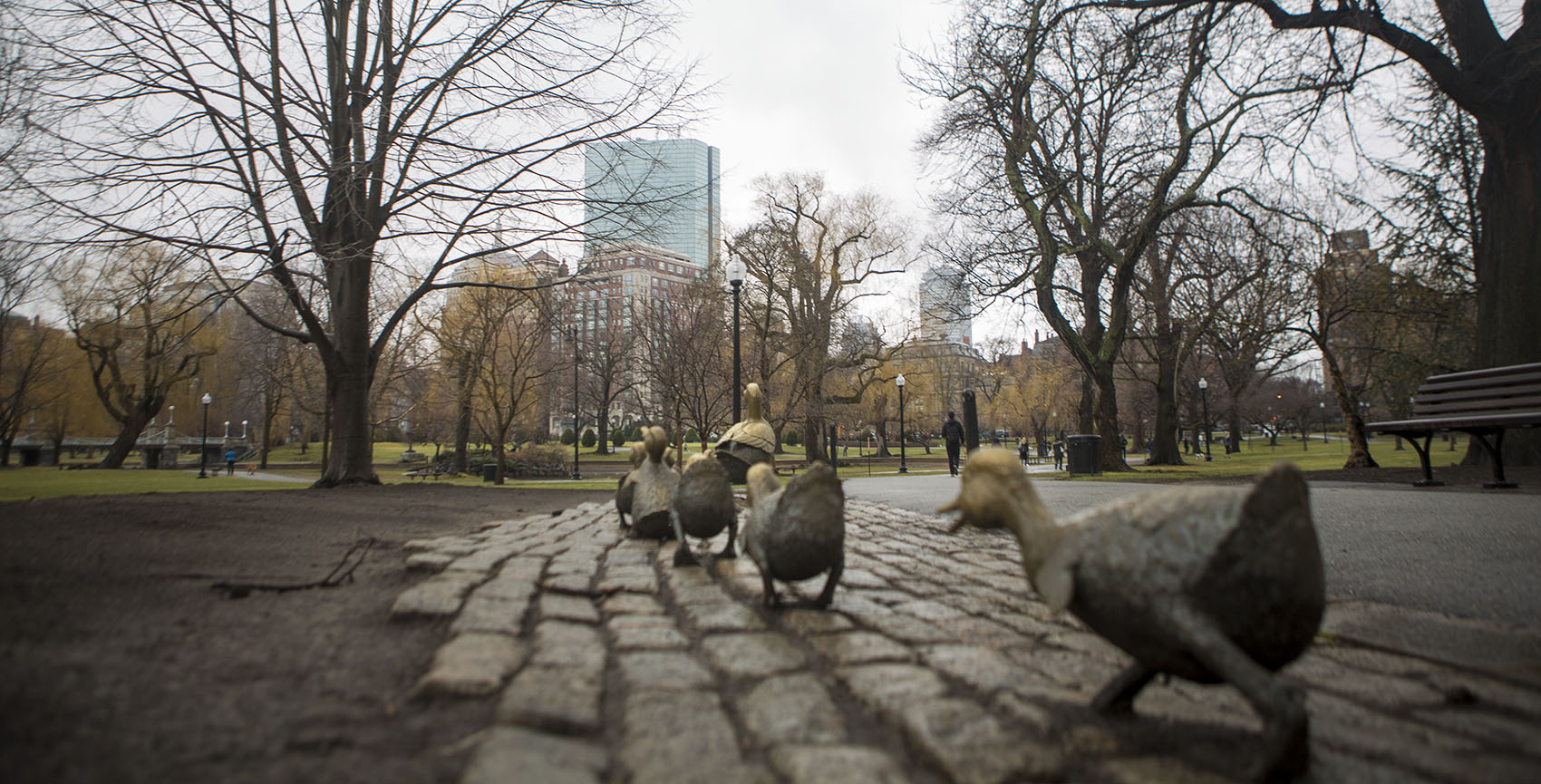 Boston's &quot;Make Way For Ducklings&quot; sculpture was installed in 1987. Moscow residents received their own version in 1991. (Jesse Costa/WBUR)