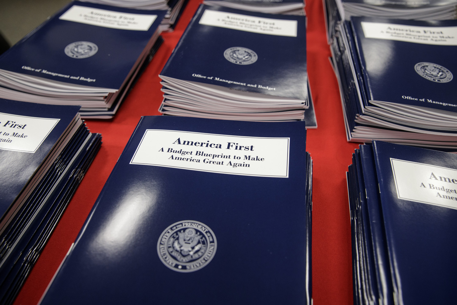 Copies of President Donald Trump's first budget are displayed at the Government Printing Office in Washington. (J. Scott Applewhite/AP)