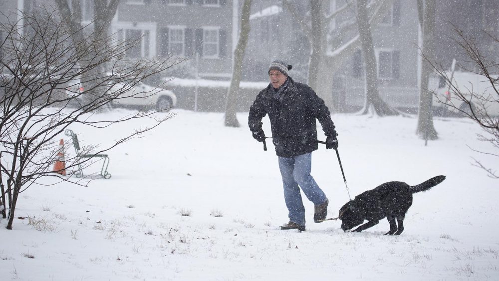A Cambridge resident and his dog, Penelope, walk though the snow. (Robin Lubbock/WBUR)