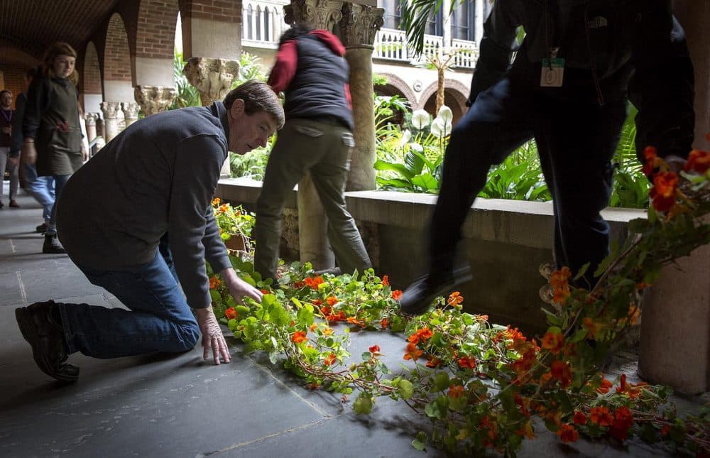Stanley Kozak kneels by two nasturtium plants as staff lay them out in the museum cloisters and carefully step over them. (Robin Lubbock/WBUR)