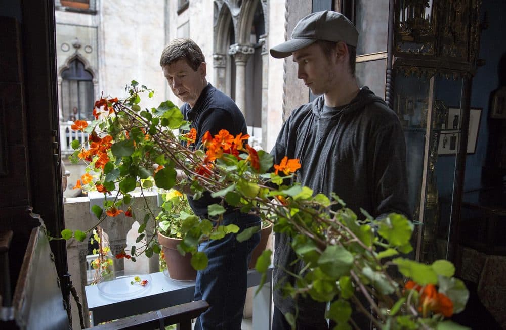 Stanley Kozak and Leland Eglin gently pass one of the nasturtium plants over a balcony into the museum courtyard. (Robin Lubbock/WBUR)