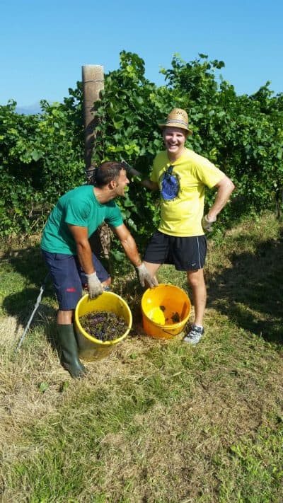 Daniele (left) and Fede on the vineyard. (Courtesy Fede Celot)
