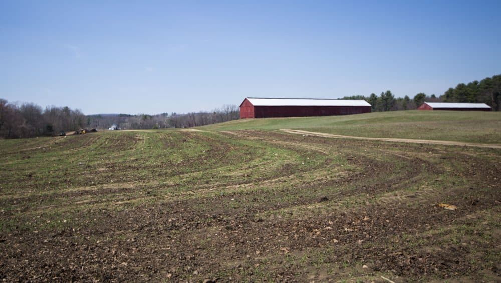 Repubilcan state Rep. Nicholas Boldyga says Southwick's identity as a farming community helps explain the conservative values of many of its residents. Seen here: Johnson Brook Farms in Southwick. (Jesse Costa/WBUR)