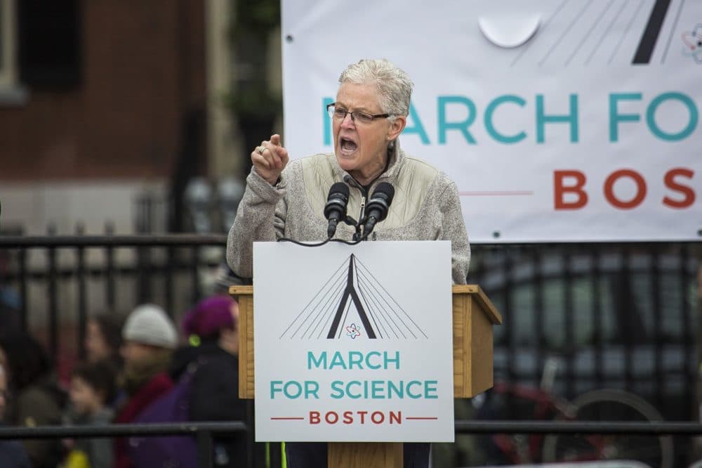 Former Environmental Protection Agency Administrator and Boston-native Gina McCarthy spoke to the crowd on Boston Common Saturday. (Jesse Costa/WBUR)