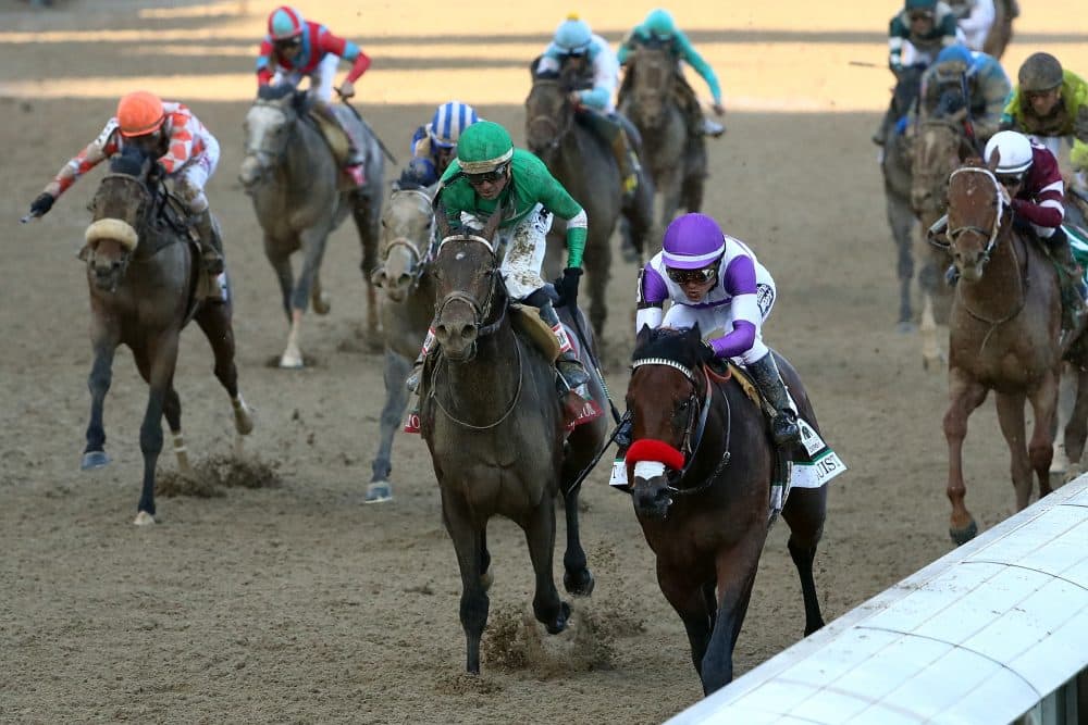 The Kentucky Derby is near. But Bill Littlefield is thinking about another kind of horse competition. (Maddie Meyer/Getty Images)