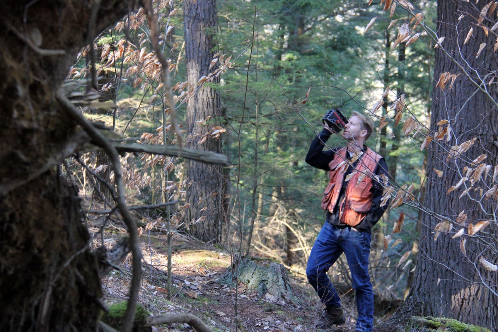 UVM forest ecologist Bill Keeton uses a laser rangefinder to measure the height of a tree in UVM's Jericho Research Forest. (Courtesy Kathleen Masterson/VPR)