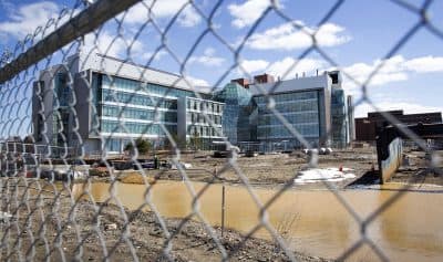 In Changing Higher Ed Landscape, UMass Boston Gambled — And Lost