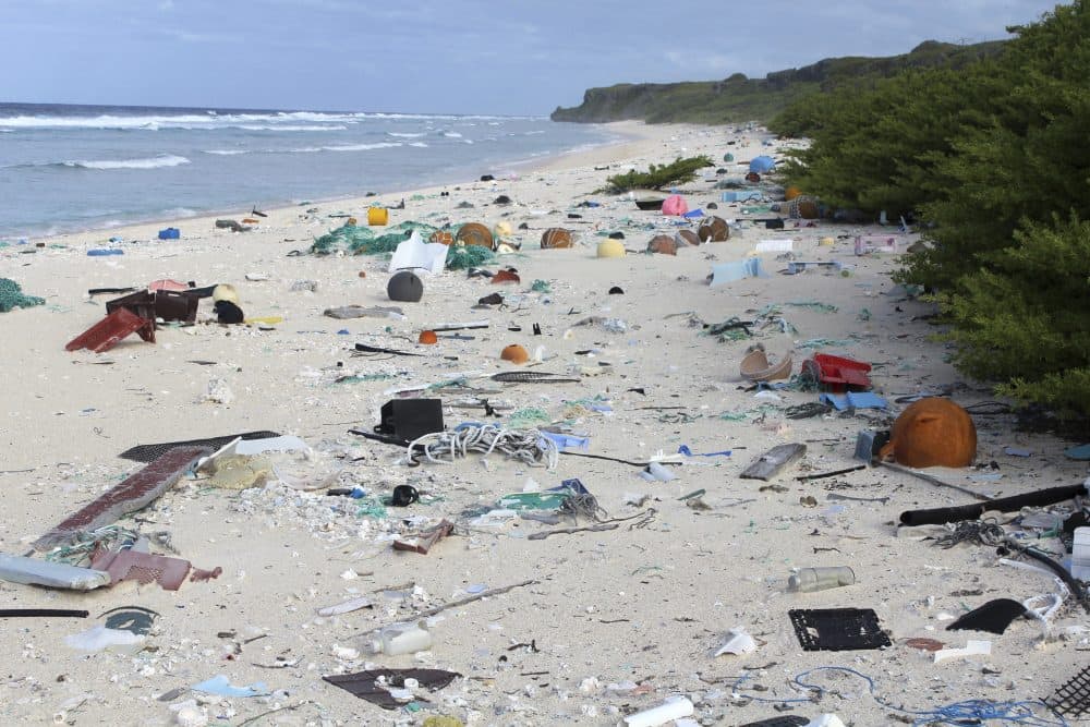 In this 2015 photo provided by Jennifer Lavers, plastic debris is strewn on the beach on Henderson Island. When researchers traveled to the tiny, uninhabited island in the middle of the Pacific Ocean, they were astonished to find an estimated 38 million pieces of trash washed up on the beaches. (Jennifer Lavers via AP)