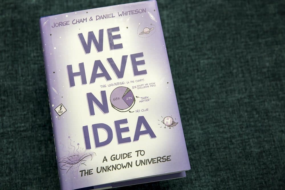 &quot;We Have No Idea: A Guide to the Unknown Universe,&quot; by Daniel Whiteson and Jorge Cham. (Robin Lubbock/WBUR)