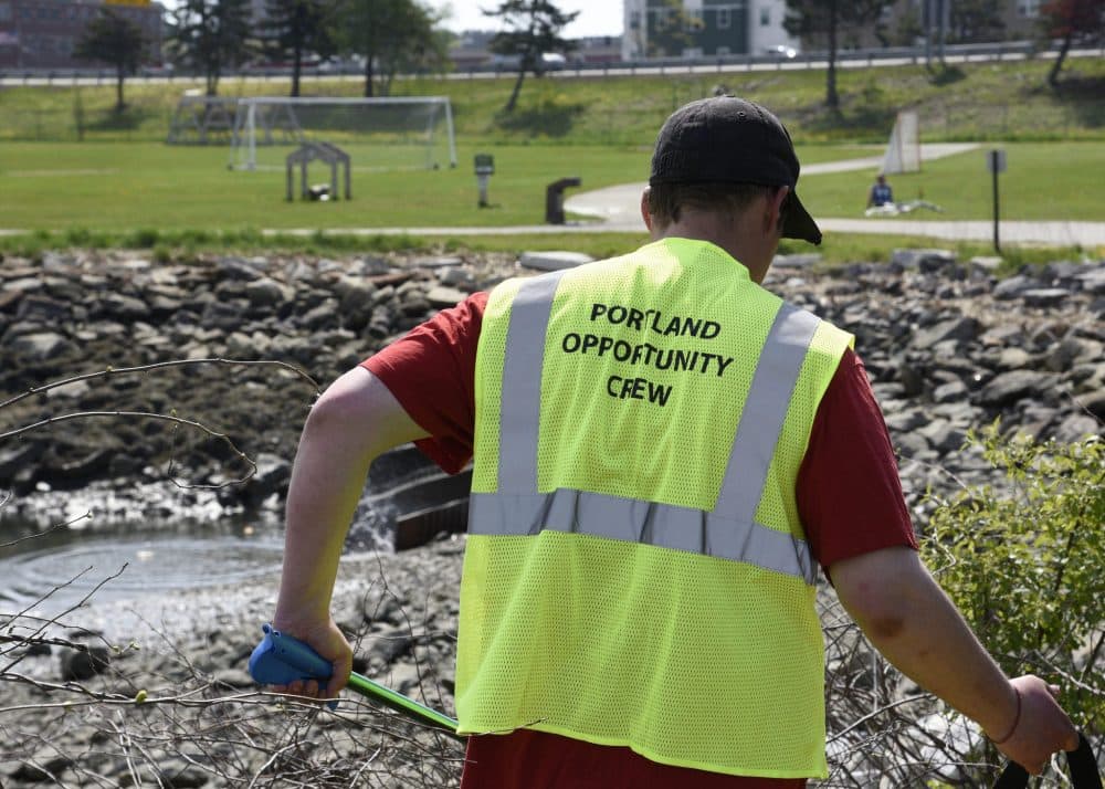 Peter LaRoche picks up trash around the Back Cove in Portland. (Ed Morin/Maine Public)