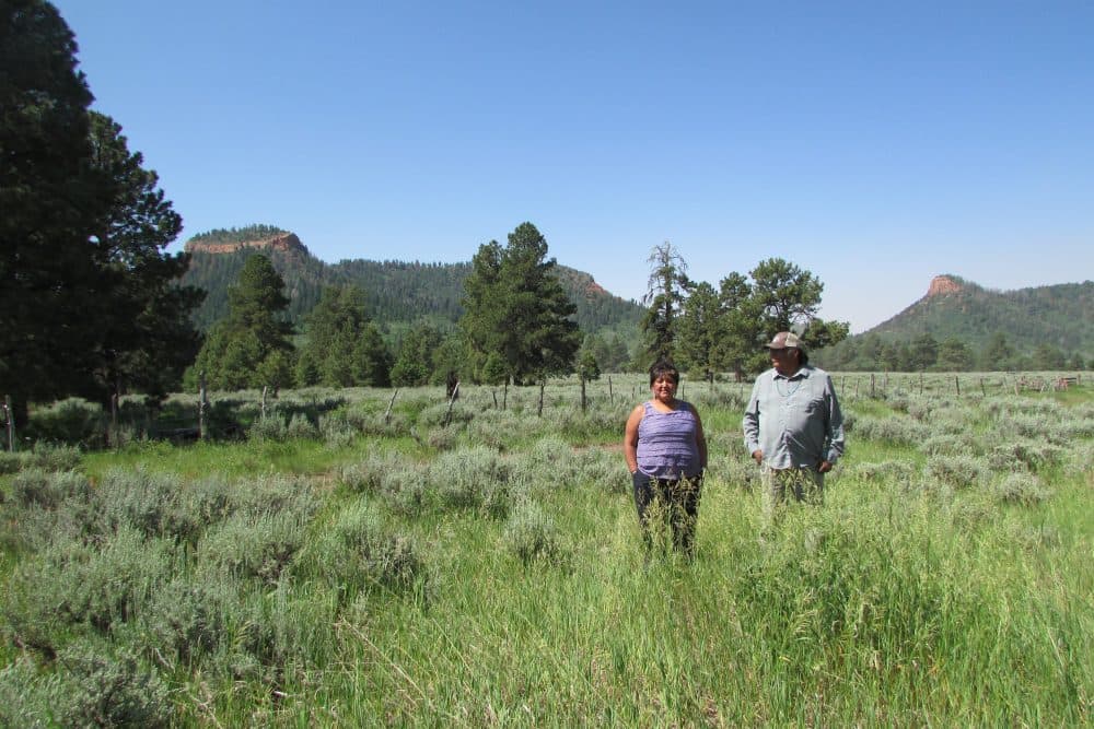 Regina Lopez Whiteskunk, a Ute, and Jonah Yellowman, a Navajo, were part of the coalition that gave up on a legislative solution for protections at Bears Ears and urged President Obama to create the Bears Ears National Monument. The two are shown last summer in an herb-gathering area behind the iconic buttes. (Judy Fahys/KUER News)