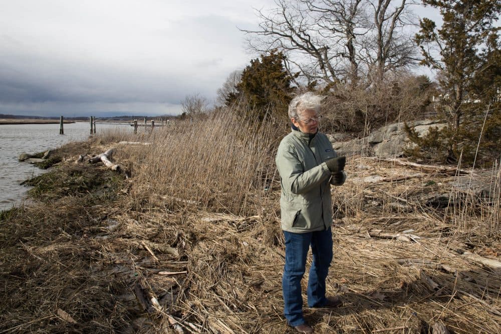 Judy Preston, Long Island Sound outreach coordinator for the Connecticut Sea Grant, stands on the banks of the Back River in Old Lyme, Connecticut, on April 7. (Ryan Caron King/NENC)