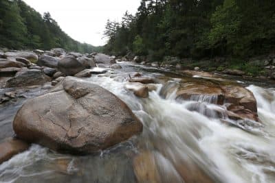 Tallying The Economic Impact Of Our National Monuments