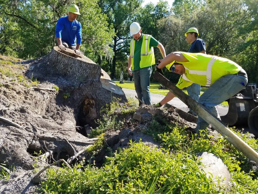 A tree removal crew moves grave markers that were disrupted when Hurricane Matthew uprooted a large sweet gum tree. Once the stump is gone, city officials say it will take a lot of research to restore the monuments. (Emily Jones/GPB)