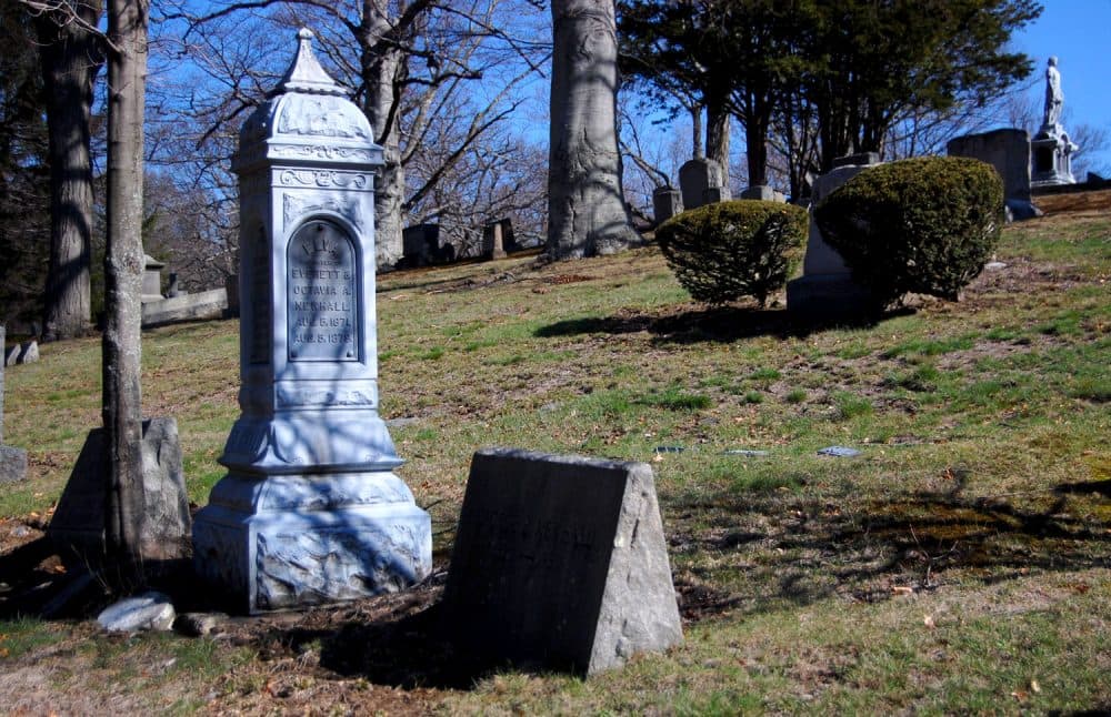 The grave of Elva Newhall, who died in 1879 on her eighth birthday, and her parents at Medford's Oak Grove Cemetery. (Greg Cook/WBUR)