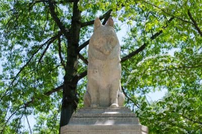 The statue at the top of the Esplanade's Lotta Fountain. (Elizabeth Gillis/WBUR)