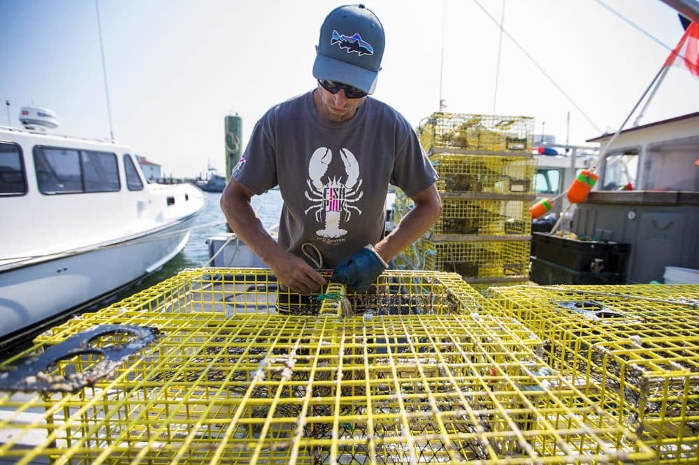 John Black baits lobster traps aboard the Martha Elizabeth. (Jesse Costa/WBUR)