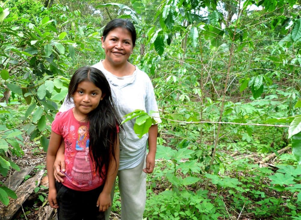 Farmer Dilcia Garcia and daughter Fatima on their farm. Behind her are fruit trees including mangoes and papayas, as well as the more traditional coffee. (Karyn Miller-Medzon/Here & Now)