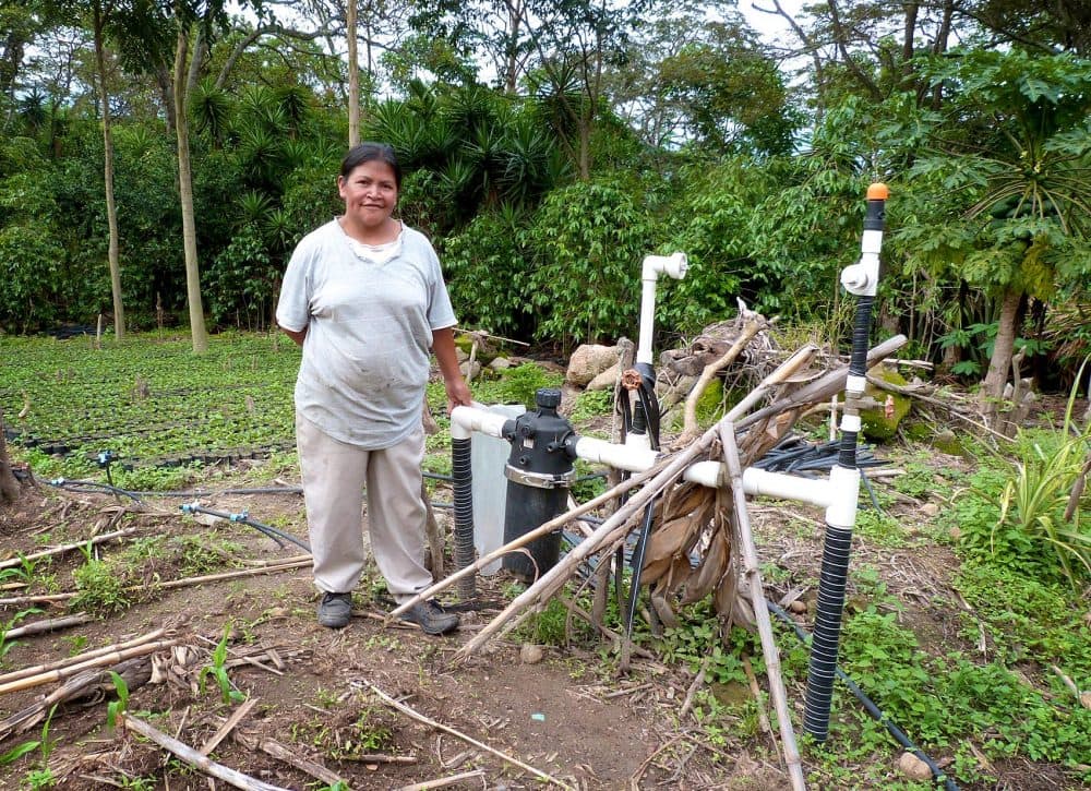 Dilcia Garcia beside the irrigation system that was installed with USAID funding. President Trump’s new budget proposal would discontinue the development aid money for her project and others like it. (Karyn Miller-Medzon/Here &amp; Now)