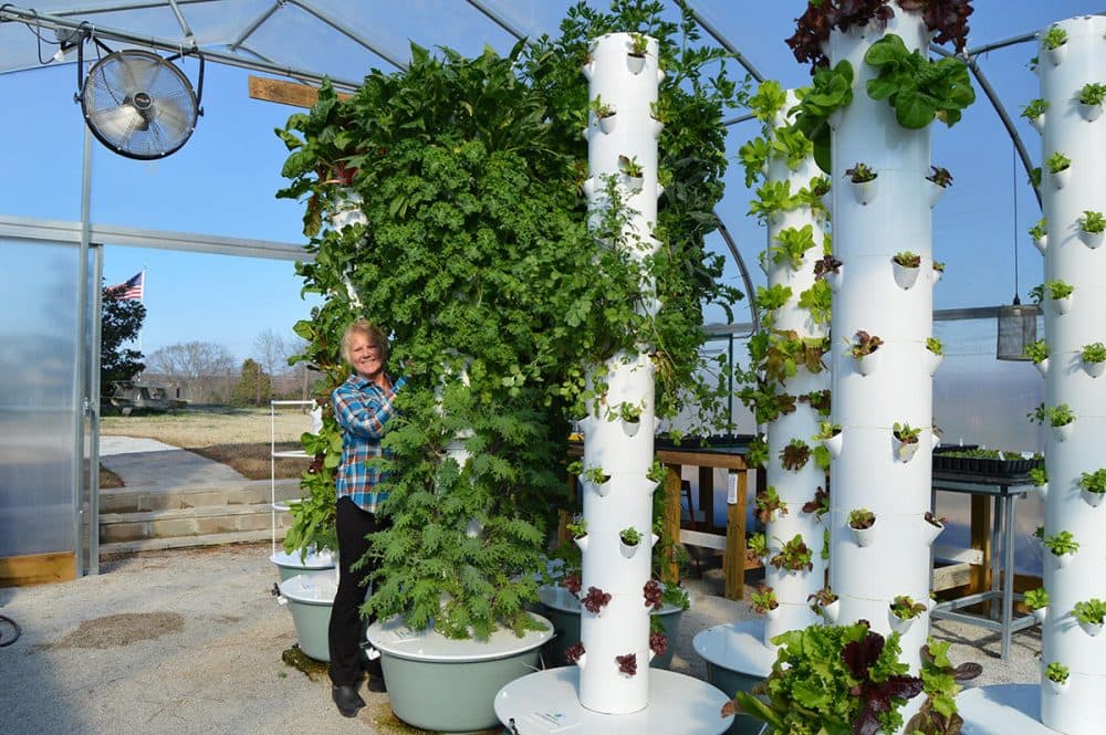 Mona Hitch tends to one of her 8-foot vertical farming towers. She says she and her husband eat salads grown &quot;vertically&quot; in their greenhouse every day. (Caroline Leland)