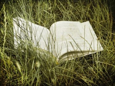 What You're Reading This Summer, And Why