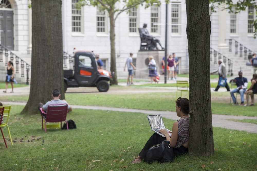 People lounging around Harvard Yard. (Joe Difazio for WBUR)