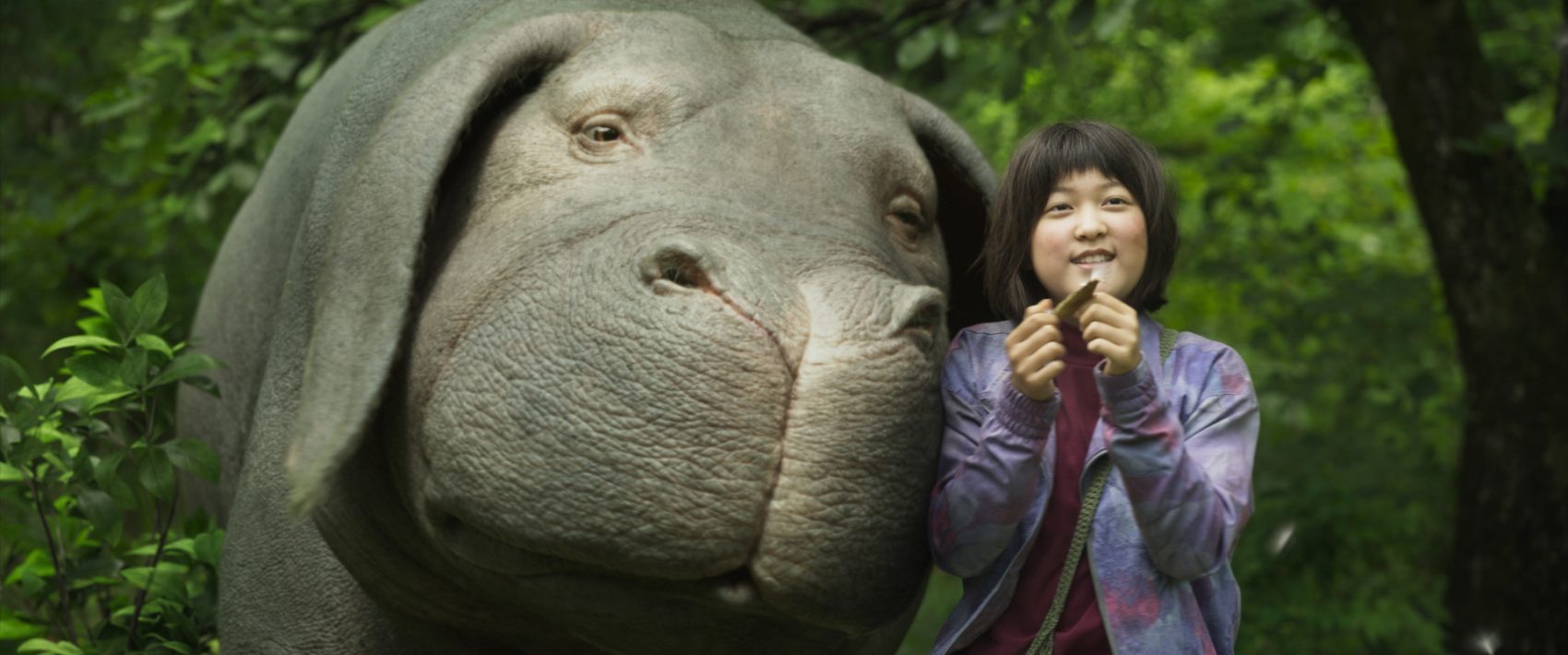 A production still from the movie "Okja." (Netflix)