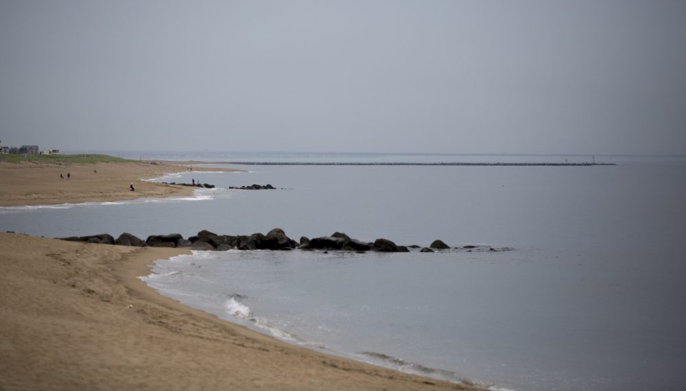 The crescent-shaped shoreline of Plum Island (Jesse Costa/WBUR)