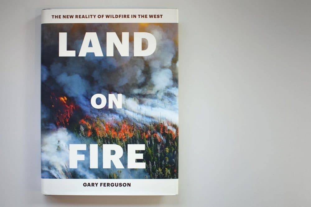 &quot;Land on Fire,&quot; by Gary Ferguson. (Jackson Mitchell/Here & Now)