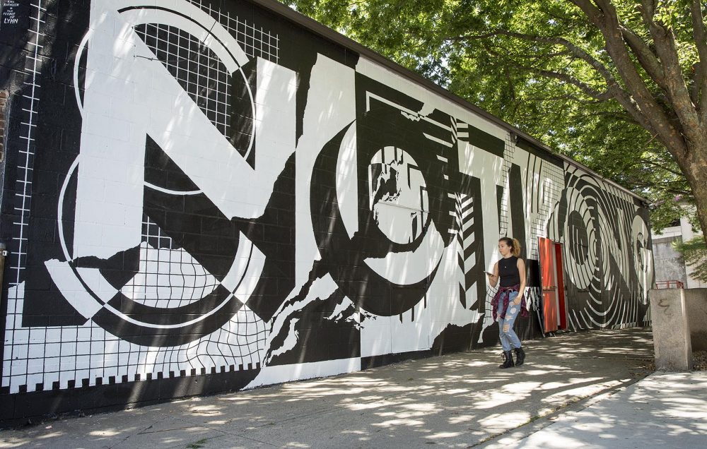 Australian artist Georgia Hill's mural on Munroe Street in Lynn. (Robin Lubbock/WBUR)