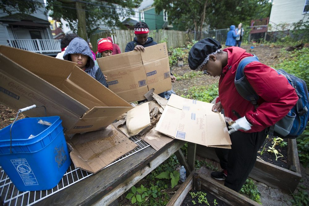 Green, right, and others prepare cardboard boxes, which will then be used in the Ellington Street garden as a proxy for landscaping fabric. (Jesse Costa/WBUR)